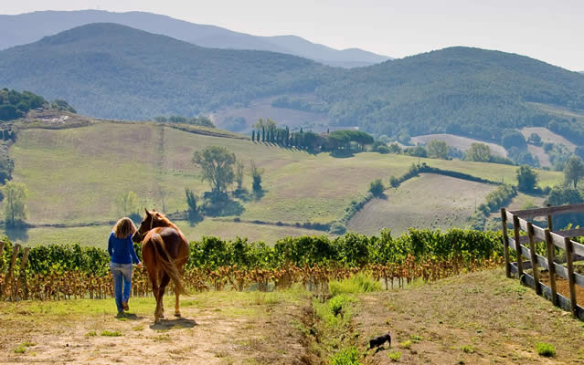 Equitazione
